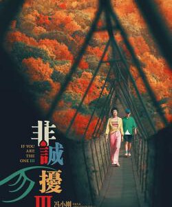 Q1162非诚勿扰3 2023 高清版 冯小刚导演新作