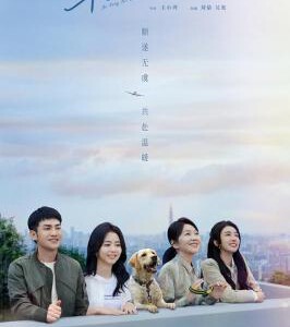 Q1173再见，李可乐 高清版 2023吴京领街主演2024年感人剧情大作