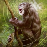 Q1272-1273地球之声 第1季 2碟装 2024年Apple TV首部自然纪录片