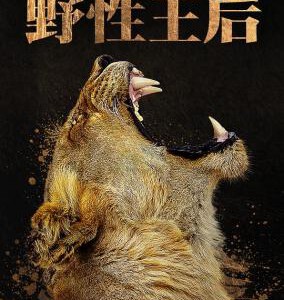 R1044-1045野性王后 2碟装 2024国家地理频道为迪士尼+打造雌性动物纪录片