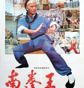 R1060南拳王(1984) 修复版 豆瓣6.8 国产经典功夫片