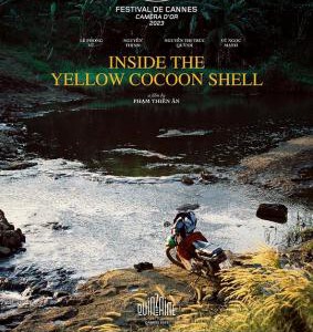 R1162金色茧房/雾中潜行 (2023) 全景声 正式版 豆瓣6.9