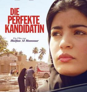 R1195完美候选人/选举大作战 (2019)豆瓣6.5