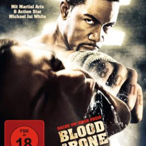 S171血与骨/永不退缩 Blood and Bone (2009) 豆瓣6.6