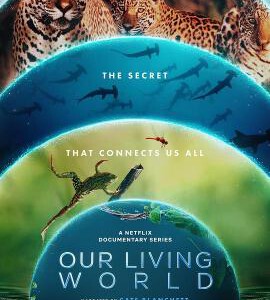 S1039-1040我们的生物世界 2碟装 2024年最新纪录片