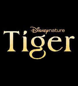 S1116老虎 2024年美国最新上映一部关于印度孟加拉虎的纪录片
