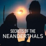 S1124尼安德特人绝密存亡史 2024网飞出品2024最新纪录片佳作