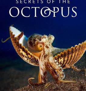 S1140章鱼的秘密 2024艾美奖肯定《鲸之谜》制作团队最新力作