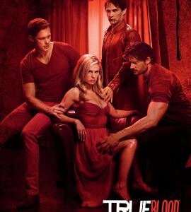 Y132-134真爱如血 第4季(3碟装)