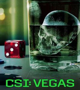 S1204-1205犯罪现场调查：维加斯 第3季 2碟装 2024年最新犯罪悬疑剧集