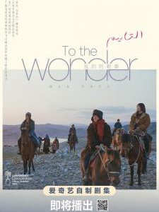 S1226-1227我的阿勒泰 高清版  2碟装 2024豆瓣评分8.6分剧情佳作