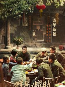 S1236-1238群星闪耀时 3碟装 2024年最新近代革命谍战剧