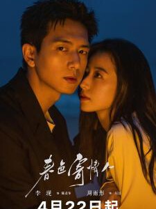 S1239-1241春色寄情人 3碟装 2024年最新央视热播都市爱情剧集