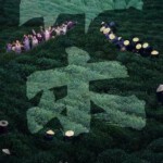 T1033草木人间 高清版 2024反传销题材电影