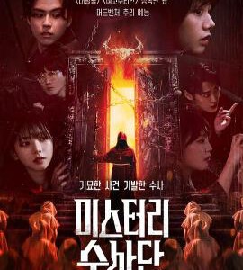 T1151-1152怪奇谜案限时破 2碟装 2024 韩国真人秀