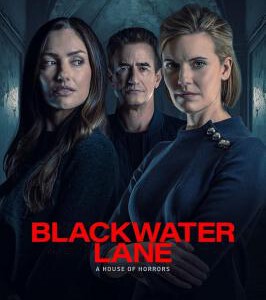 T1153黑水巷 2024又一部烧脑推理神作