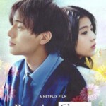 T1164余生一年的我，遇见了的余生半年的你的故事 2024年网飞最新纯爱电影