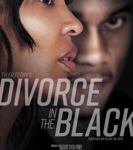 T1252离婚怨曲 2024美国最新惊悚大作