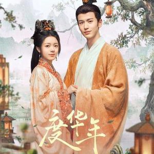 U1032-1035度华年 4碟装 2024年最新热门口碑古装爱情剧