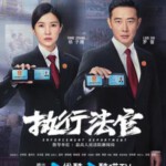 U1046-1048执行法官 3碟装 2024年央视最新法治案情剧