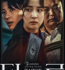 U1086-1087塔罗牌 2碟装 2024