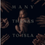 U1088王者潮流/王潮 2024年加拿大上映悬疑惊悚大作