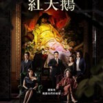 U1130-1131红天鹅 2碟装 2024最新浪漫复仇巨制