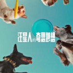 U1219汪星人的奇思妙想 2024网飞出品纪录片杰作