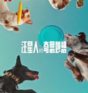 U1219汪星人的奇思妙想 2024网飞出品纪录片杰作