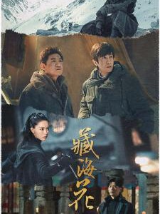 V1032-1034藏海花 3碟装 2024改编自南派三叔同名小说