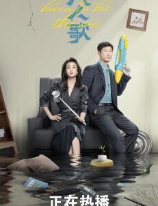 V1035-1036凡人歌 2碟装 2024年最新央视热播现实题材都市剧