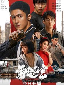 V1068-1070雪迷宫 3碟装 2024年最新央视热播口碑刑侦缉毒巨制