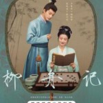 V1075-1078柳舟记 4碟装 2024年最新热门口碑古装爱情剧集