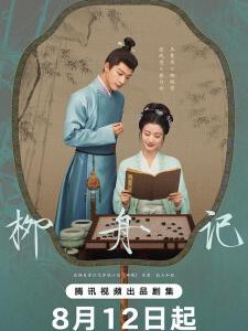 V1075-1078柳舟记 4碟装 2024年最新热门口碑古装爱情剧集