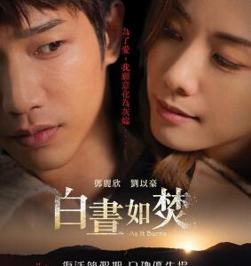 V1138白昼如焚 2024年香港上映剧情片