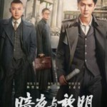 V1185-1187暗夜与黎明 3碟装 2024年国产最新明查暗斗反特剧