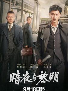 V1185-1187暗夜与黎明 3碟装 2024年国产最新明查暗斗反特剧