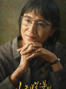 V1197-1198山花烂漫时 2碟装 2024年豆瓣9.0分口碑感人剧