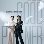 V1232-1234好搭档 3碟装 2024年最新高分律政韩剧