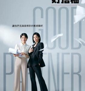 V1232-1234好搭档 3碟装 2024年最新高分律政韩剧