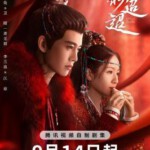 V1244-1247流水迢迢 4碟装 2024年最新武侠古装爱情传奇剧