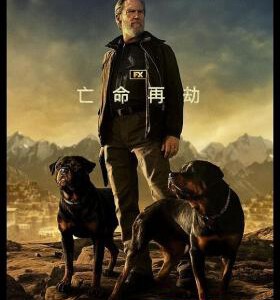 W1031-1032老头子 第二季 2碟装 2024美国最新上映动作惊悚剧集