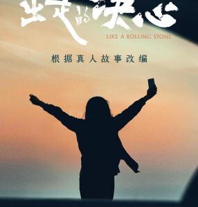 W1088出走的决心 2024年度口碑爆款,豆瓣9.0