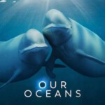 W1114我们的海洋 2024网飞最新上映纪录片大作