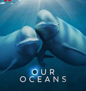 W1114我们的海洋 2024网飞最新上映纪录片大作