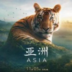 W1115-1116亚洲 2碟装 2024年英国上映纪录片