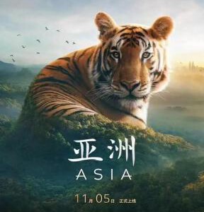 W1115-1116亚洲 2碟装 2024年英国上映纪录片