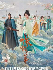 W1161-1164珠帘玉幕 4碟装 2024年最新古装传奇剧