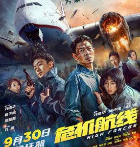 W1172危机航线 2024 豆瓣6.0 刘德华最新犯罪动作灾难巨献