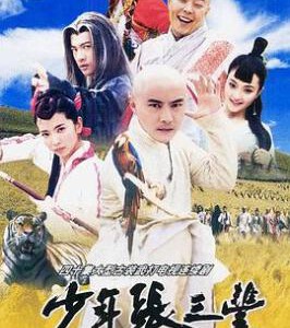 W1207-1208少年张三丰(2001张卫健) 2碟 高清版